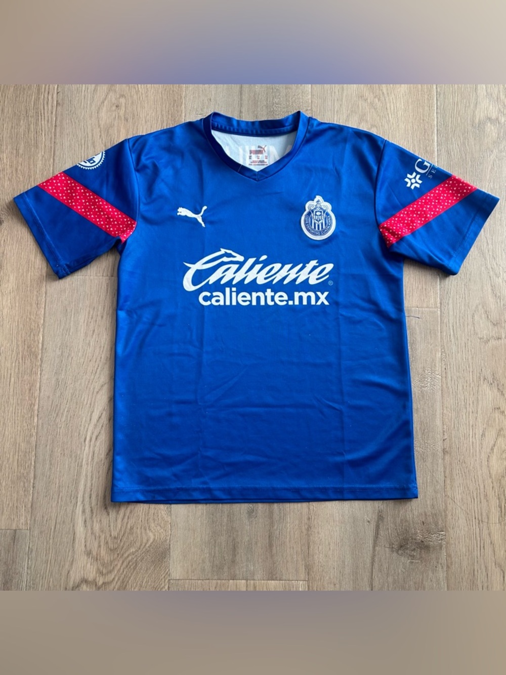 Puma Chivas Soccer Jersey